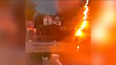 Man Hit by Lightning Miraculously Survives