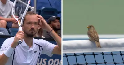Medvedev hits out after US Open match halted by birds on net
