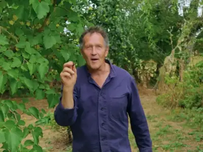 Monty Don leaves Gardeners' World after lawn advice backlash