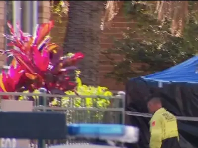 Mother, 24, charged after newborn found dead in Auburn bin