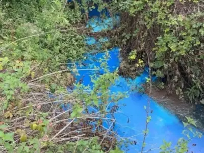 Mystery blue substance at Exmouth Beach prompts 'do not swim' warning