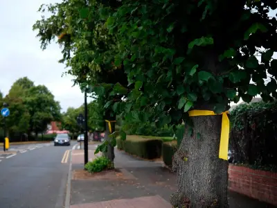 Newcastle council leader denies cycle lane plans amid tree protest