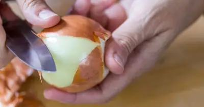 Onions stay fresh for 6 months if stored in one location—not the fridge