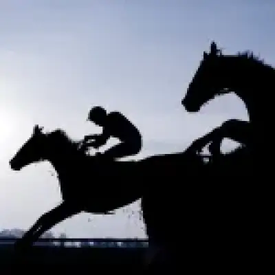 Owner: Austrian Painter horse name not Hitler-linked