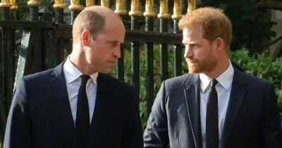 Prince Harry 'set to be stripped of titles' as William could make 'clever' move