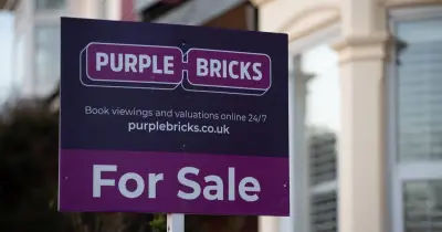 Purplebricks hit with HMRC winding-up petition over admin error