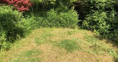 Remove paddling pools and toys to restore heat-damaged lawns