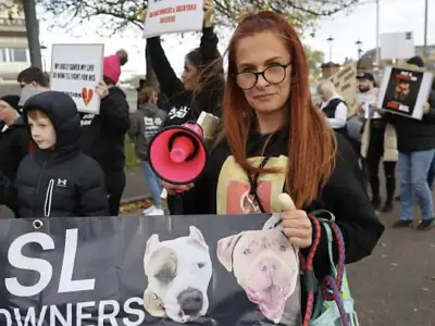 Scots XL Bully sanctuary wins licence after two-year fight