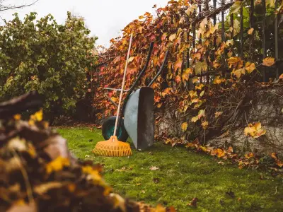 September Lawn Care: Essential Tasks for a Healthy Winter-Ready Grass
