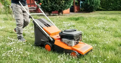 Stop cutting your grass at this time before winter or risk lasting damage
