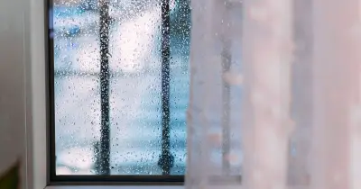 Stop window condensation for good with 1 brilliant kitchen staple