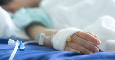 Toddler, 2, euthanised in first case of its kind