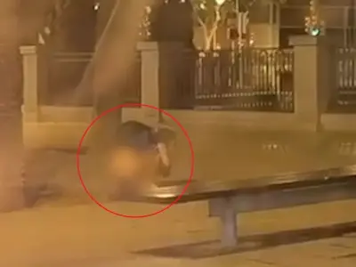 Tourist filmed squatting and relieving herself on Majorca boulevard