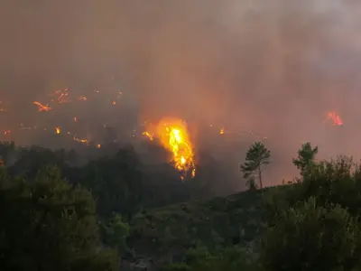 Turkey Wildfire: Evacuations as Blaze Destroys Home in Antalya