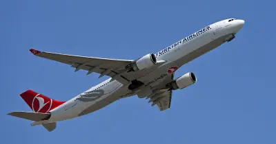 Turkish Airlines flight terror: Passengers scream as plane plunges in storm