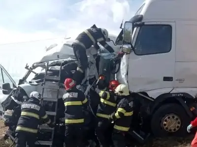 Two British women and eight dogs killed in Romania crash