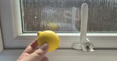 UK households urged to put lemon peel on windowsills in October