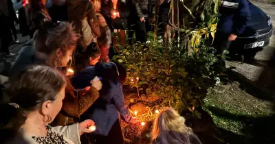 Vigil held for cat found dead after tail posted in owners' mailbox