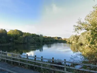 Wrexham Council weighs action over wildlife abuse at Stryt Las Park