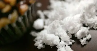 Xylitol sweetener linked to higher heart attack and stroke risk
