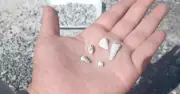 1,600 baby teeth found in Mexican mass grave