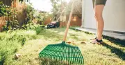 6 Essential September Gardening Jobs: Lawn, Weeds, Bulbs