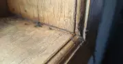 85p Cinnamon Trick to Keep Ants Out of Your Home