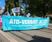 AfD poised for Saxony-Anhalt win as German citizenship anniversary nears
