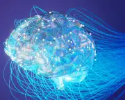 AI reliance may be damaging our brains, warns professor