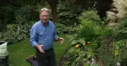 Alan Titchmarsh fears Beth Chatto won't forgive garden snub