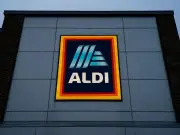 Aldi £17 back seat car hammock for pets arrives Thursday