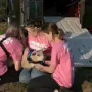 Animal rights activists guilty of stealing lambs from King's estate
