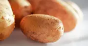 Apple storage trick can stop potatoes sprouting, say waste experts