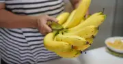 Bananas stay fresher for longer if stored in one common kitchen item