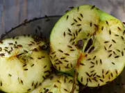 Banish fruit flies with simple garden trick from expert