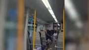 Bat causes chaos on Glasgow train as passengers duck for cover