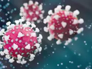 Bat coronavirus with 'high potential' to spread in humans sparks new pandemic fears