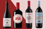 Best Supermarket Red Wines: Malbec to Rioja Picks
