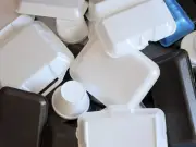 Binman Settles Debate on Polystyrene Disposal in UK Bins