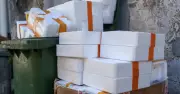 Binman settles debate on which bin to put polystyrene in