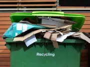 Binman shares tip to get extra recycling wheelie bin from council