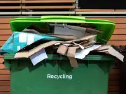 Binman warns over 'easy recycling mistake' with polystyrene packaging