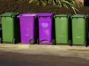 Binman's simple tip for knowing what goes in each bin