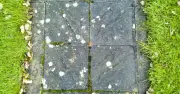 Biological washing powder clears tough paving stains in 10 minutes