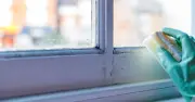 Black mould will wipe clean from surfaces with 1 teaspoon of natural ingredient