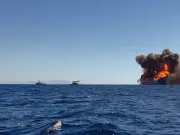 Blue Star ferry fire off Mykonos: 29 rescued from burning vessel