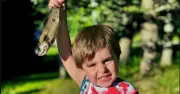 Boy, 5, dies after being left in 40C car 'while parents partied'