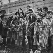 Britain Knew of Holocaust: New Exhibition Explores Truth