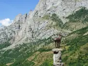 British climber, 28, dies in 200ft fall on Torrecerredo in Spain