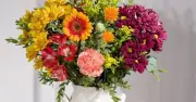 British florist Bunches praised for autumn bouquets that last over 3 weeks